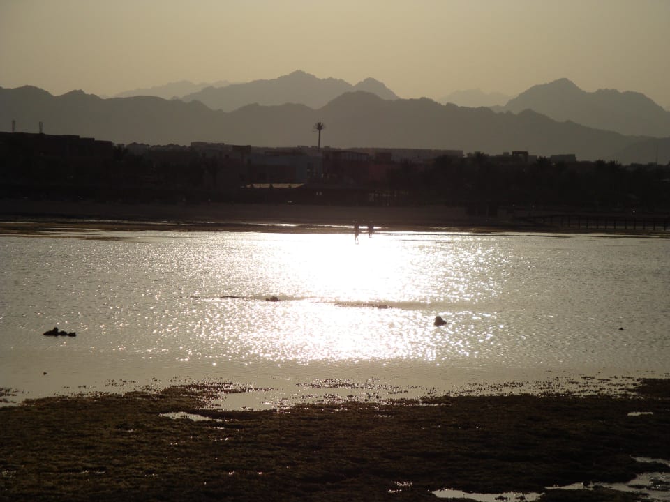 Sonnenuntergang TUI MAGIC LIFE Redsina Sharm El Sheikh
