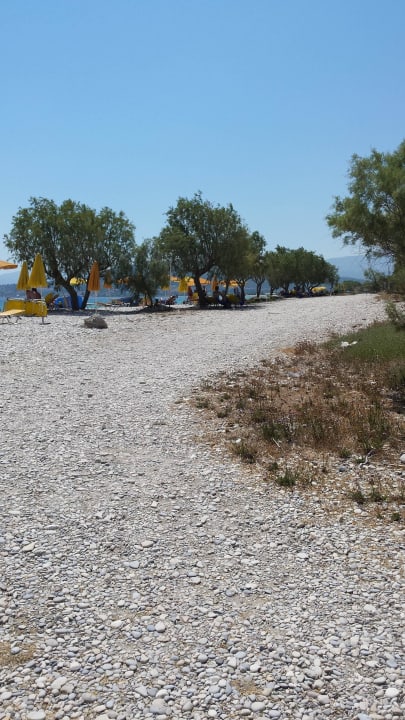Strandliegen im Schatten Hotel Saint Nicholas