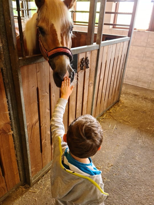 Sonstiges Wohlfühlresort Peternhof