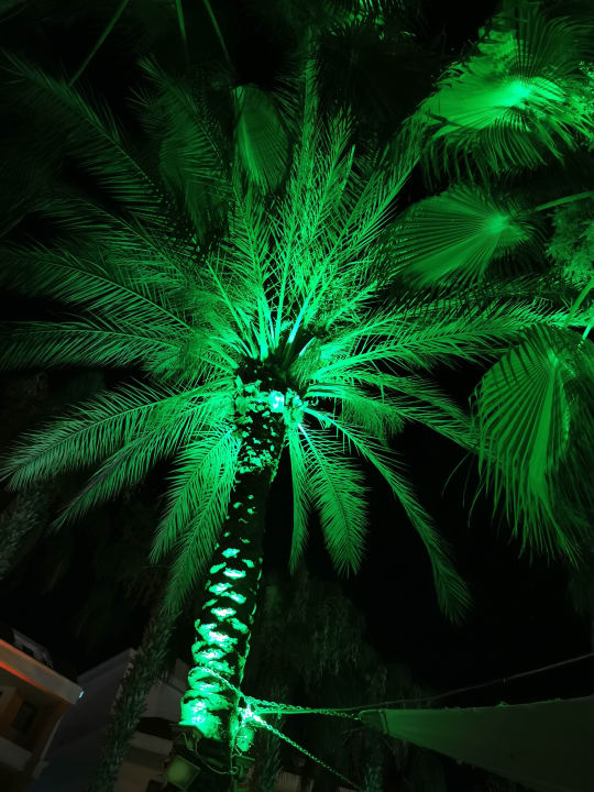 Sonstiges Hane Family Resort