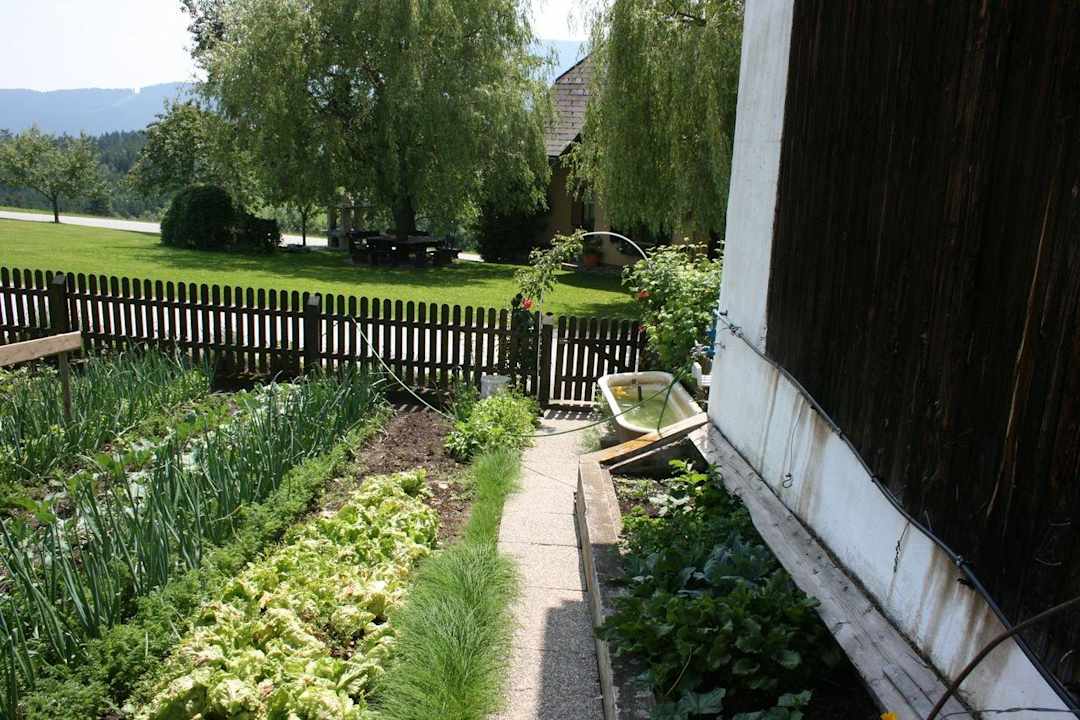 Unser Gemüsegarten Urlaub am Bauernhof Hönigshof