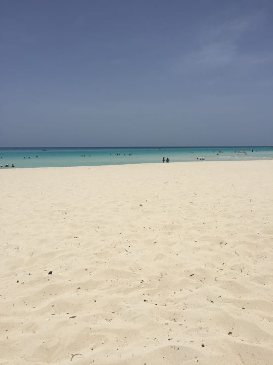Strand Starfish Cuatro Palmas