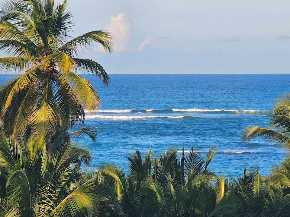 Ausblick Hotel Riu Palace Punta Cana