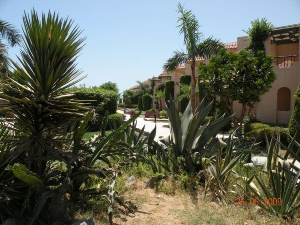 Zielono Ali Baba Palace Resort