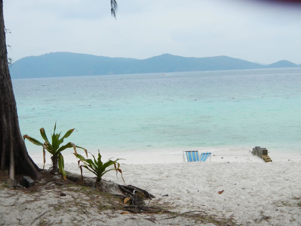 Strand Hotel Coral Island Resort