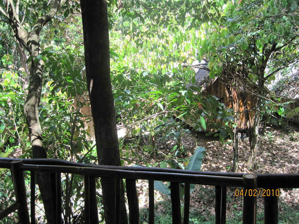 Aussicht vom Balkon Hotel Khao Sok River Cottages