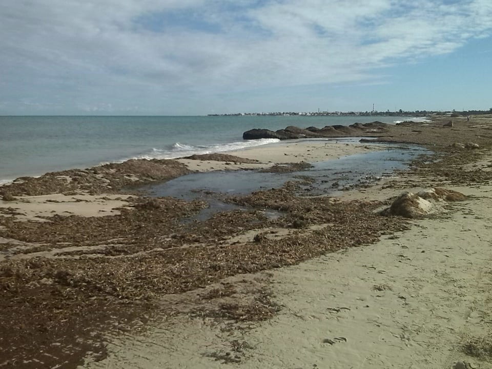 Hotel Plaza Strand Djerba Plaza Thalasso & Spa