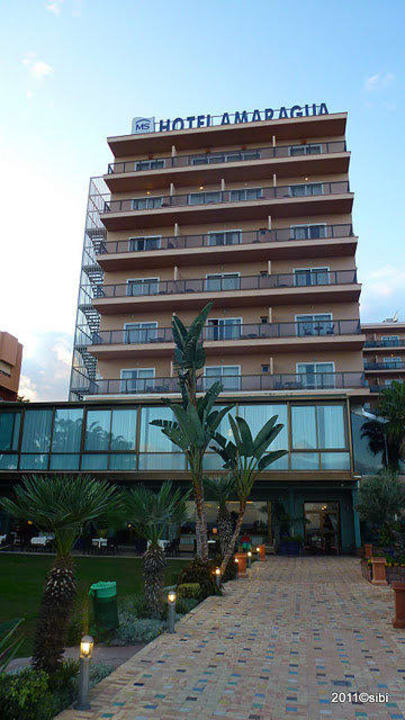 Ansicht vom Gartenbereich Hotel MS Amaragua