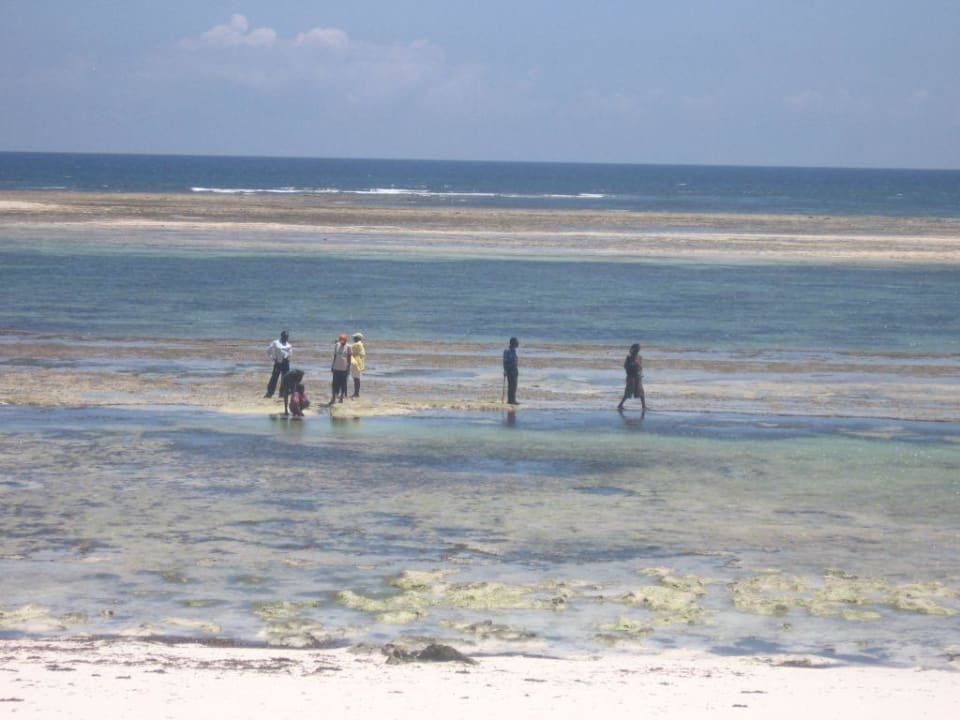 Beach Boys Kaskazi Beach Resort