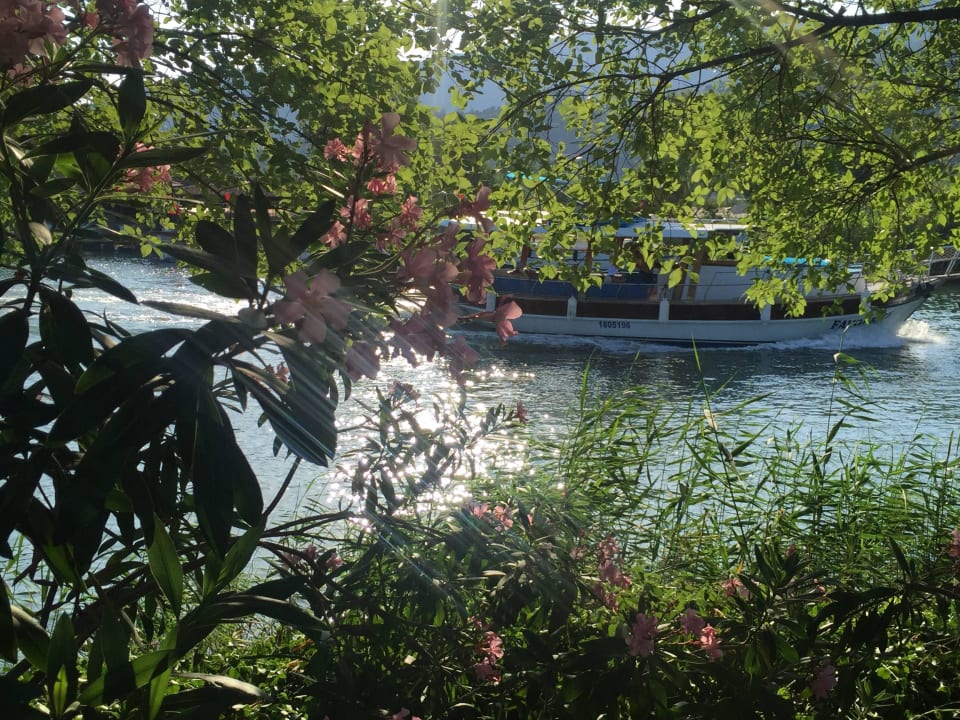 Dalyan Resort Dalyan Resort