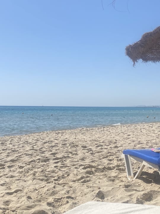 Strand Sentido Phenicia