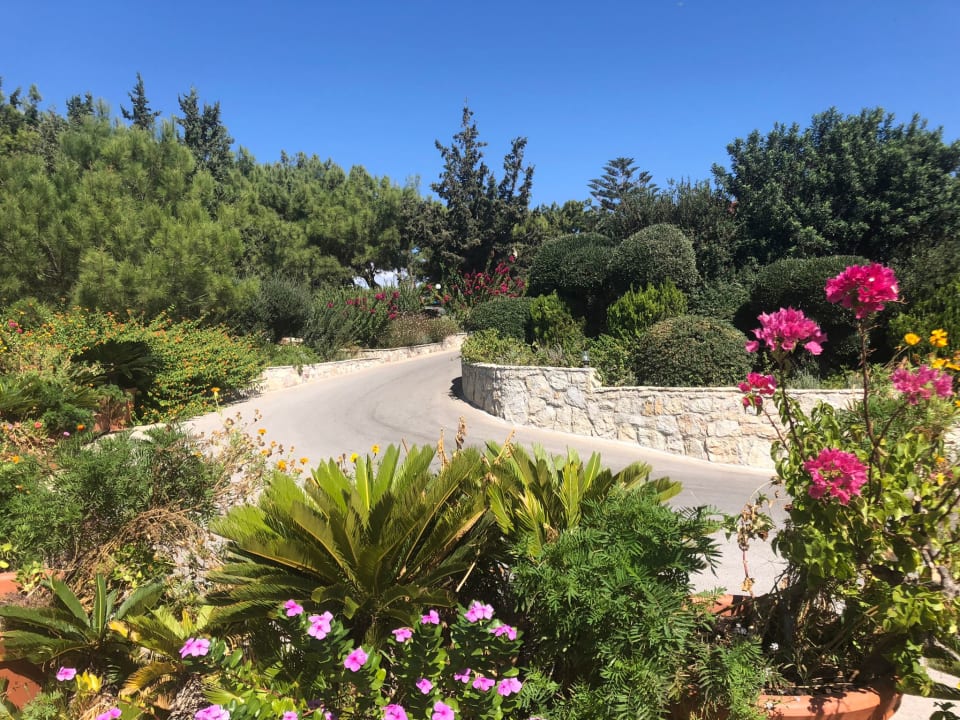 Gartenanlage Hotel Kalithea Horizon Royal