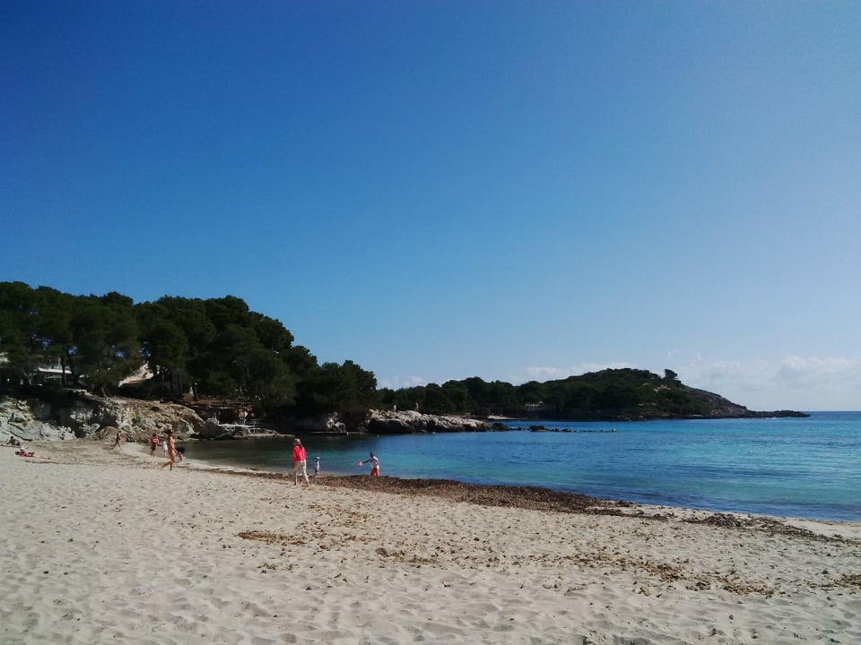 Bucht 1 mit schönem Sandstrand Iberostar Waves Pinos Park