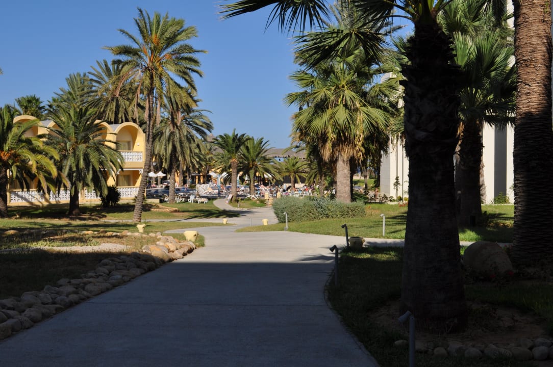 Ogród Hotel Marhaba Club