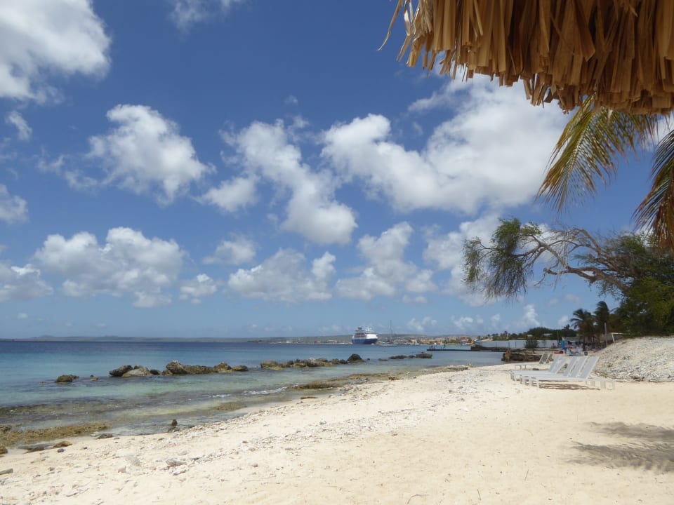 Strand Hotel Plaza Resort Bonaire