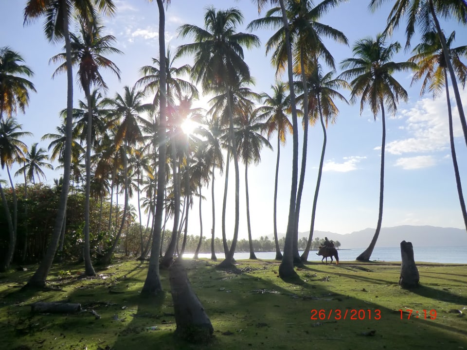 Später Nachmittag Wyndham Alltra Samana