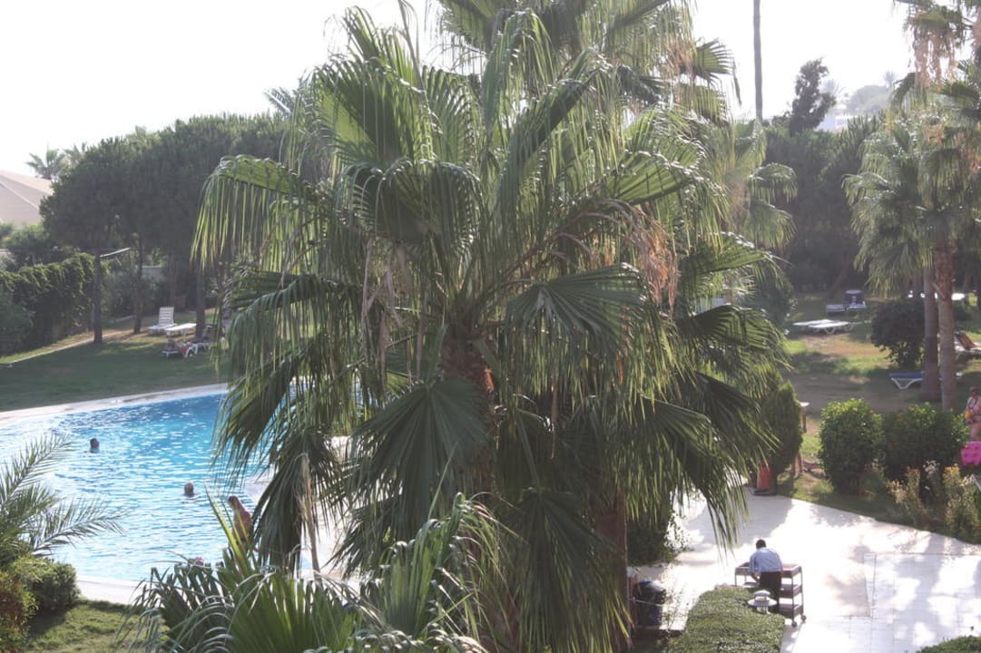 Ruhepool Club Turtas Beach Hotel