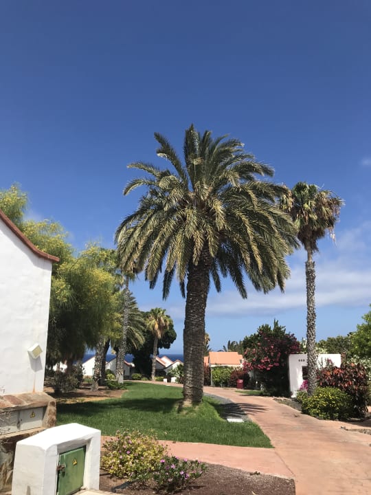 Gartenanlage Aldiana Club Fuerteventura
