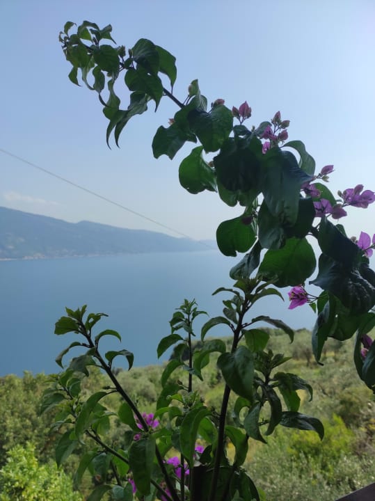 Ausblick Kuschel's vistalago