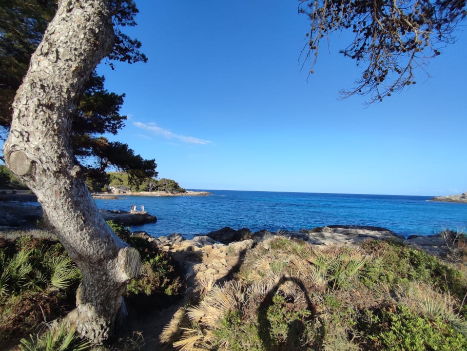 Ausblick Iberostar Waves Pinos Park