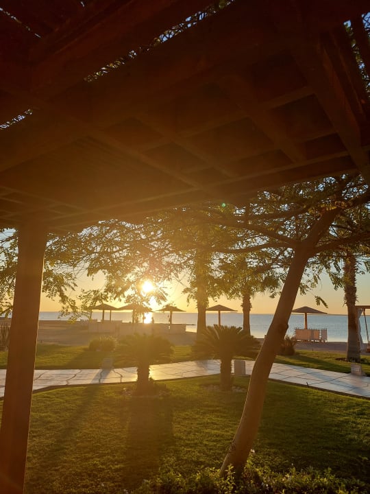 Gartenanlage Shams Prestige Abu Soma-Adults Only