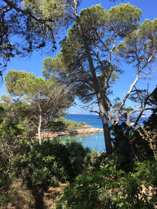 Ausblick Iberostar Selection Santa Eulalia Ibiza