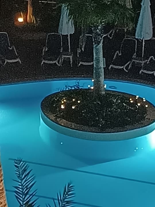 Pool Hotel Grand Side