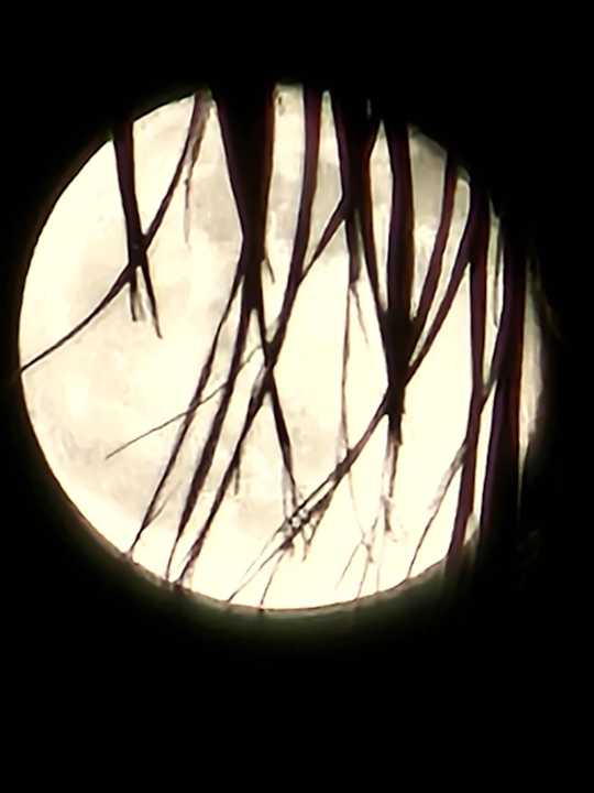 Sonstiges Steigenberger ALDAU Beach Hotel