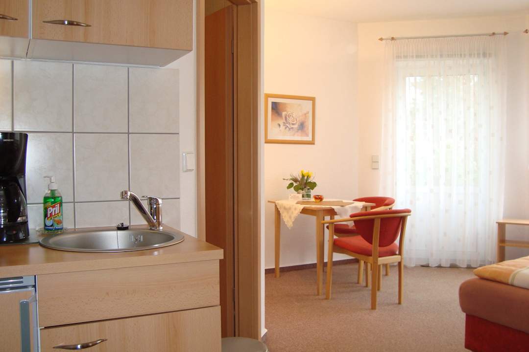 Überblick hinten Terrassenausgang Alttolkewitzer Ferien- & Privatzimmer