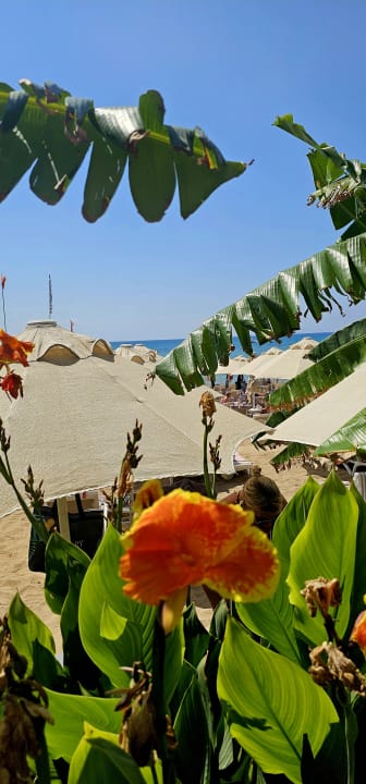 Strand Seaden Quality Resort & Spa