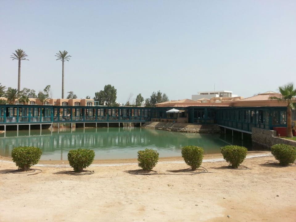 Restaurant Club Paradisio El Gouna, Red Sea