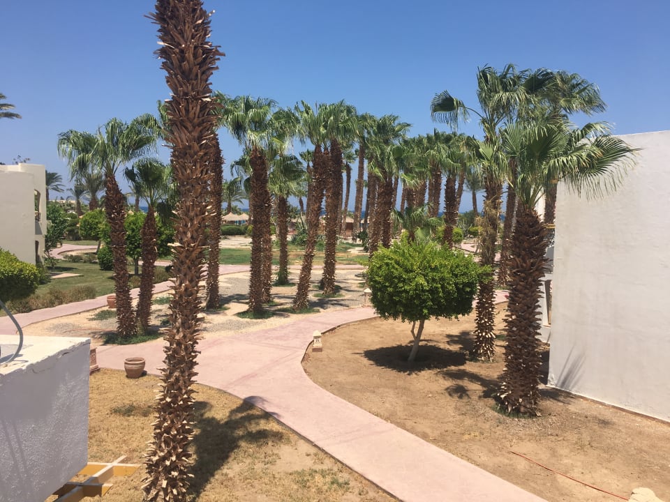 Gartenanlage Lotus Bay Beach Resort