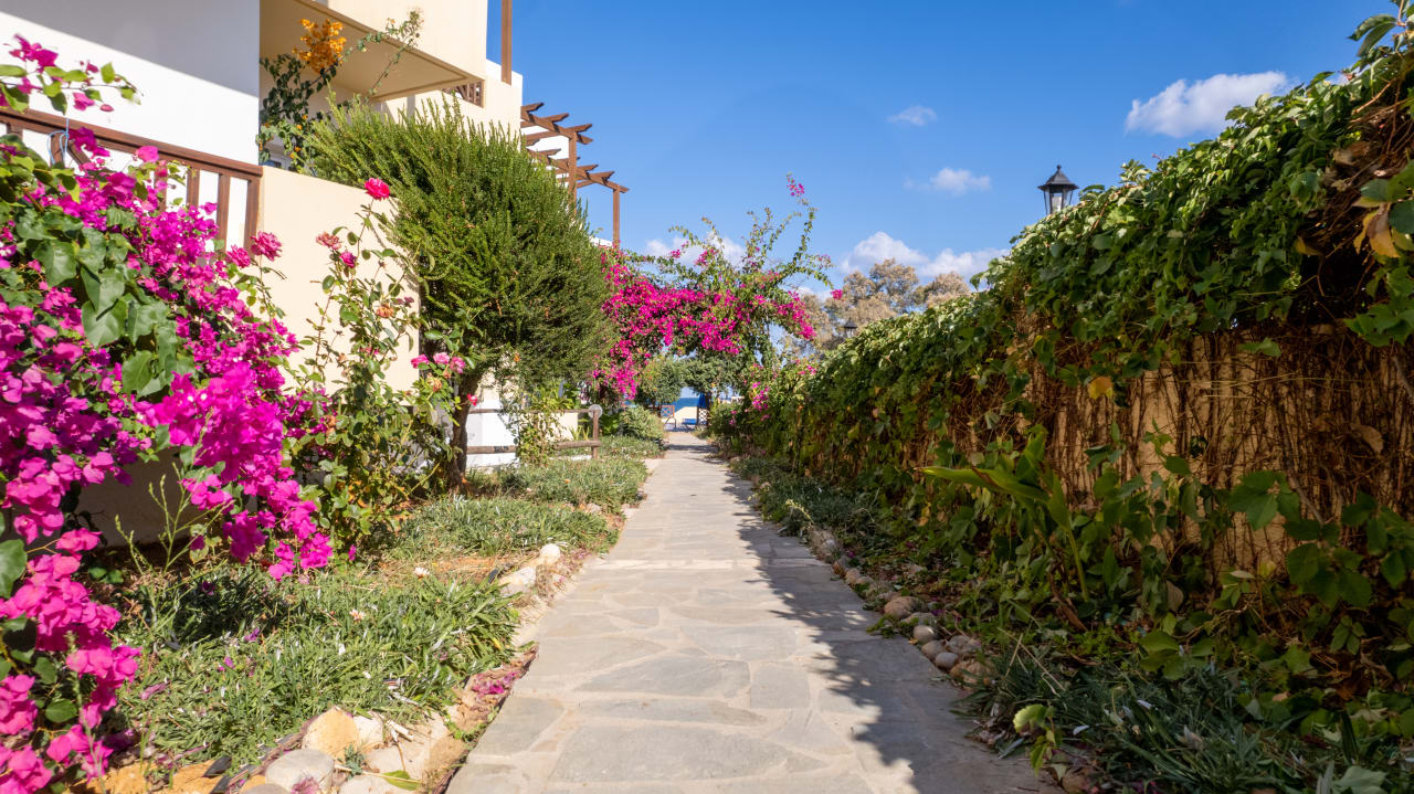 Gartenanlage Hotel Dedalos Beach