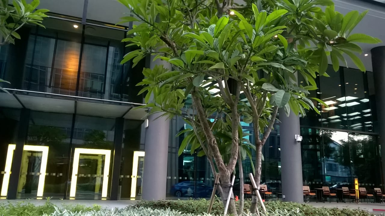Lobby Holiday Inn Express Singapore Clarke Quay