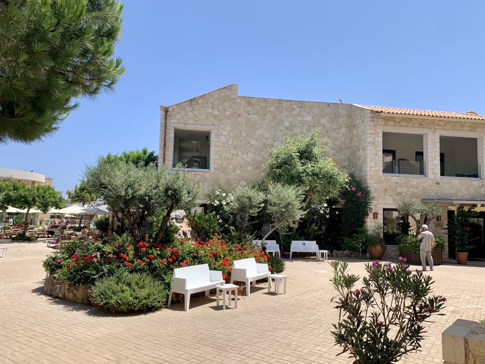 Gartenanlage Cactus Royal