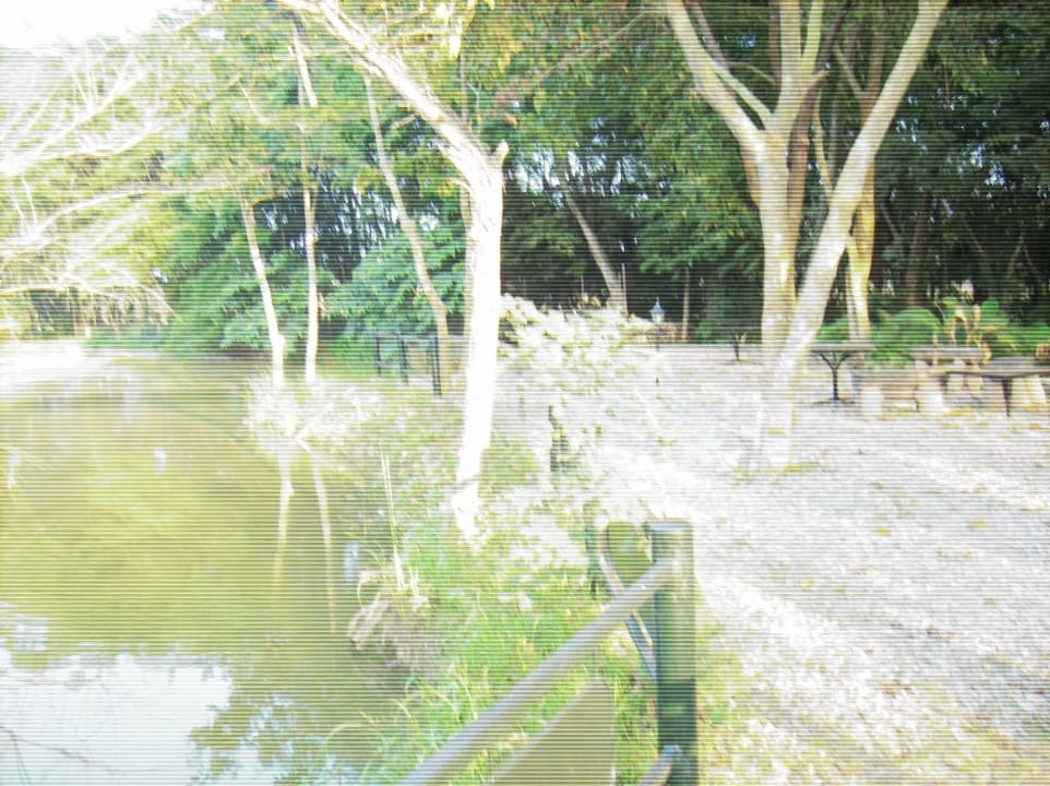 Teich Hotel Maruni Sanctuary Lodge