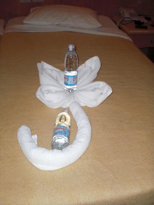 Blume aus Handtüchern Pickalbatros Aqua Vista Resort - Hurghada