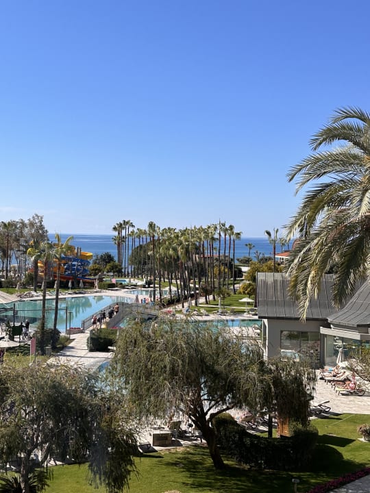 Ausblick Arum Barut Collection