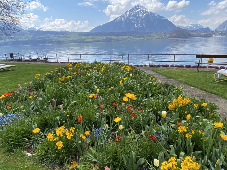 Ausblick Gut Ralligen