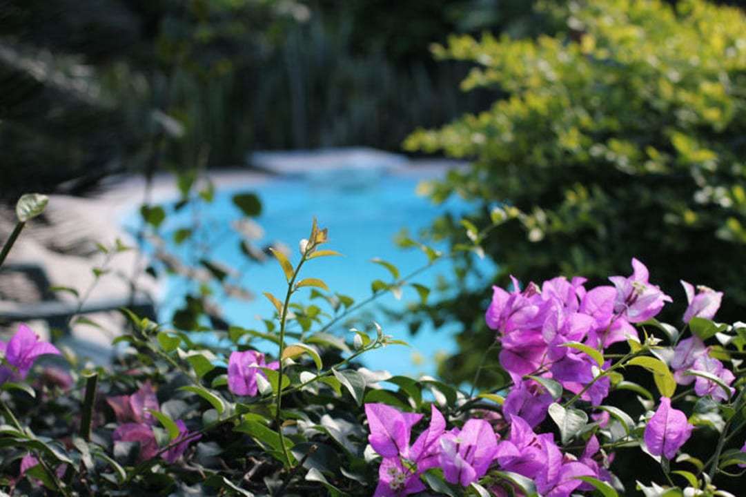 Piscine Le Relais Fenua