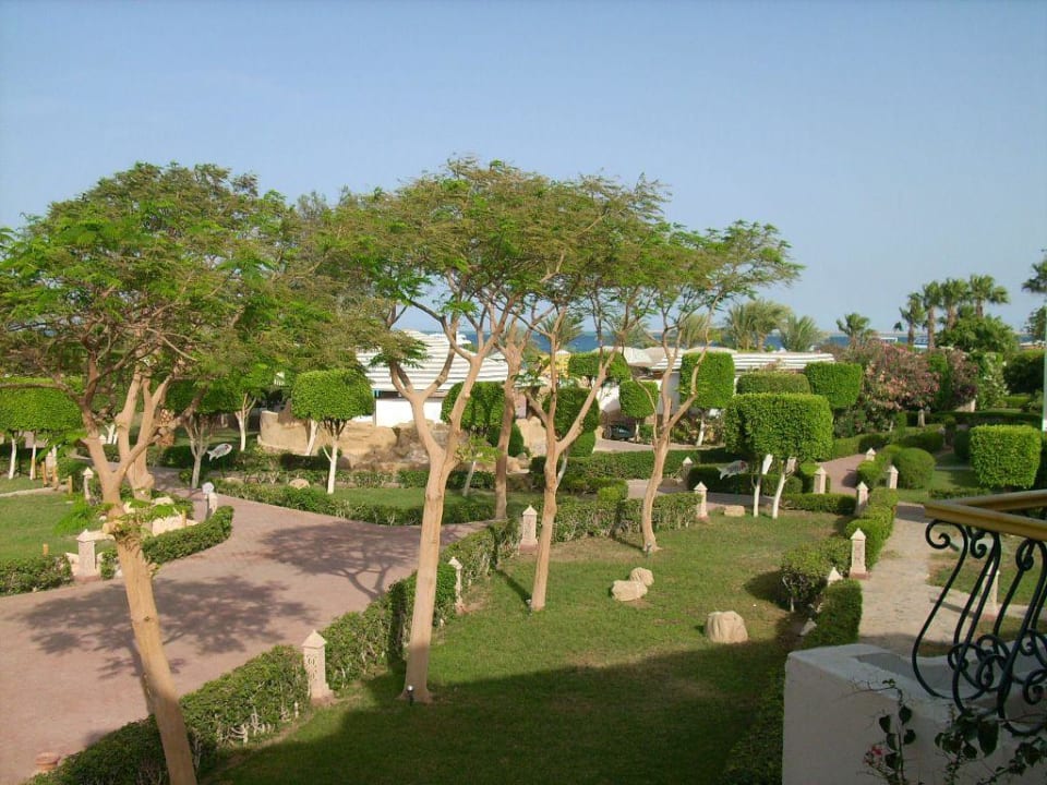 Blick in den Garten Lotus Bay Beach Resort