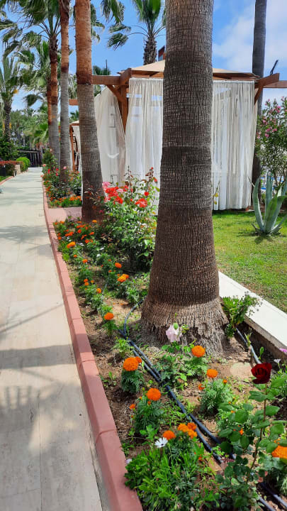 Gartenanlage Saphir Resort & Spa