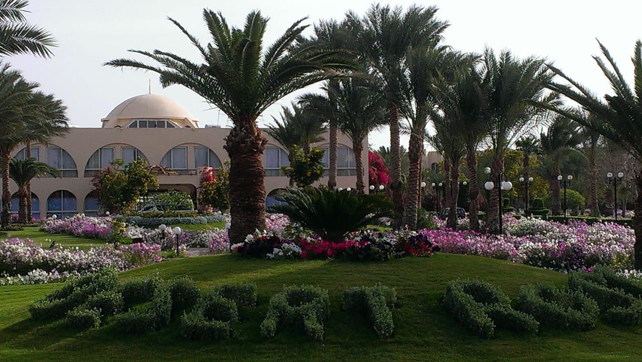 Gartenanlage Desert Rose
