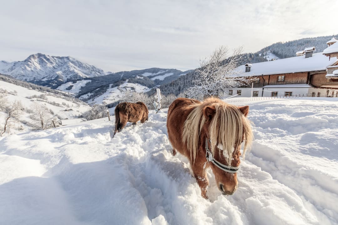 Sonstiges Bauernhof Christernhof