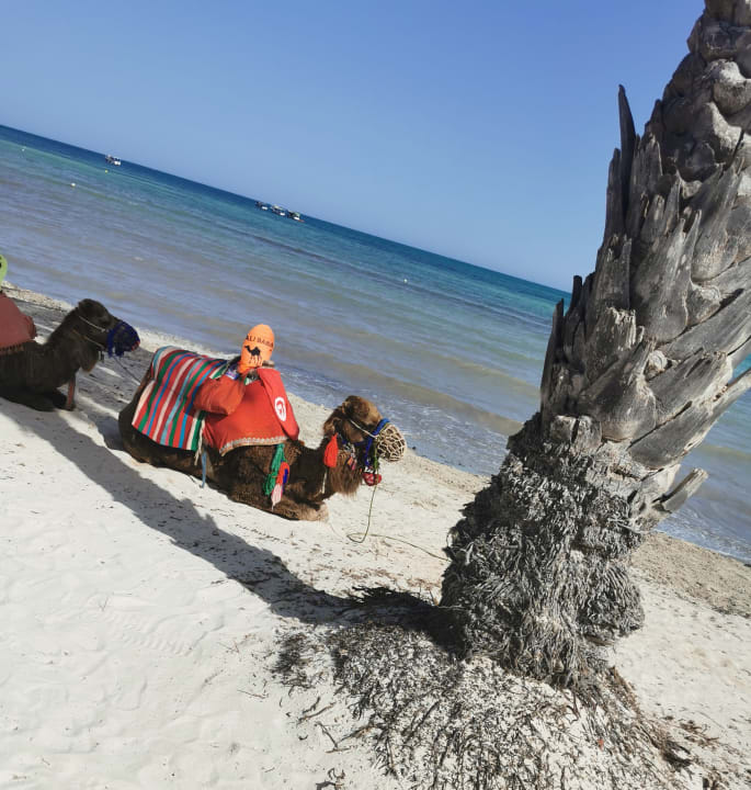 Strand Hotel El Mouradi Djerba Menzel