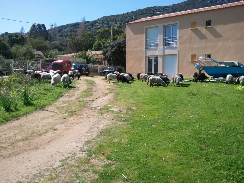 Weg zum nahen Ort Hotel Maristella
