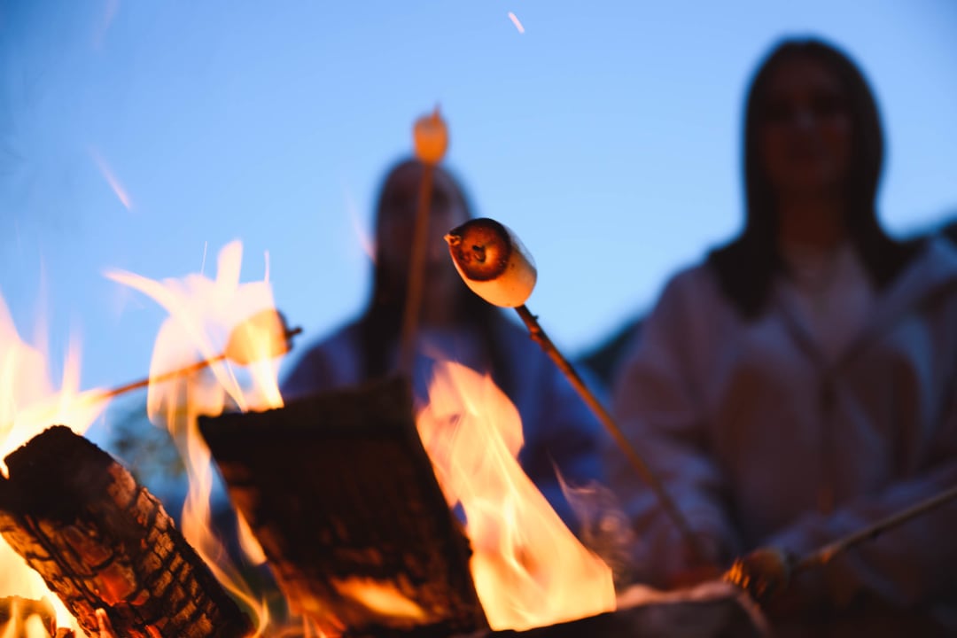 Gastro Kinderhotel Waldhof