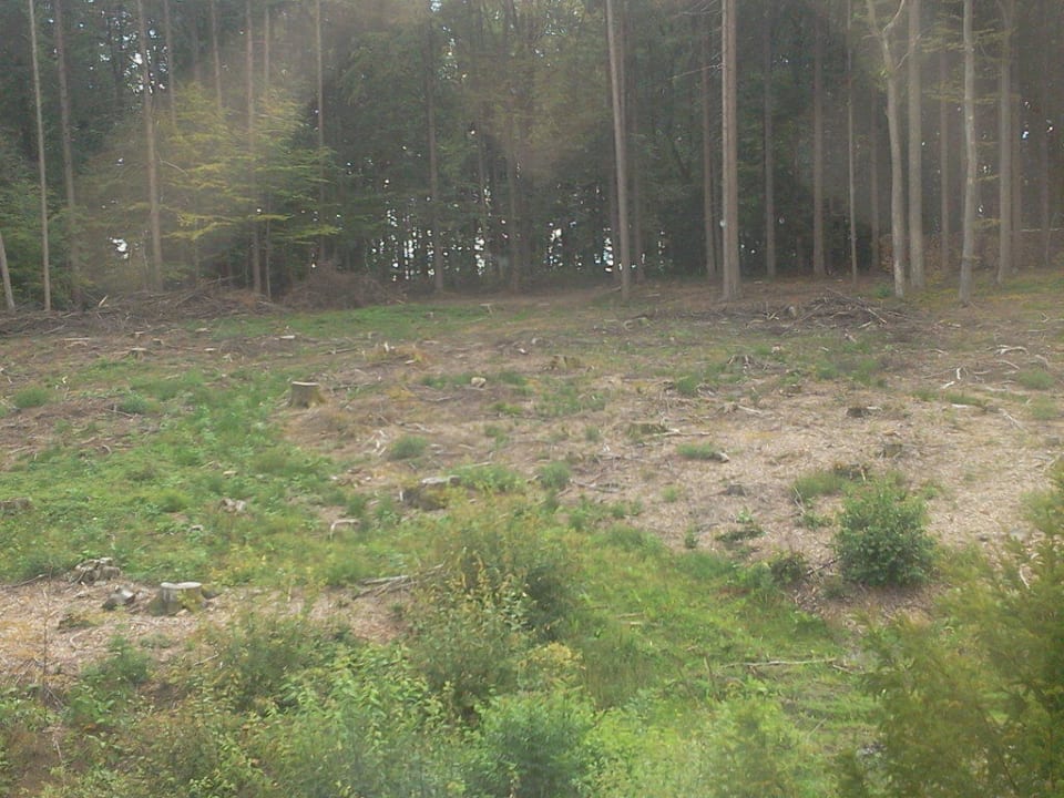 Blick aus dem Fenster Raitelberg Resort