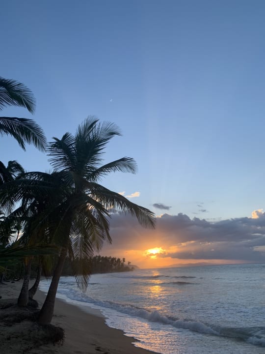 Strand Viva V Samana by Wyndham – Adults Only
