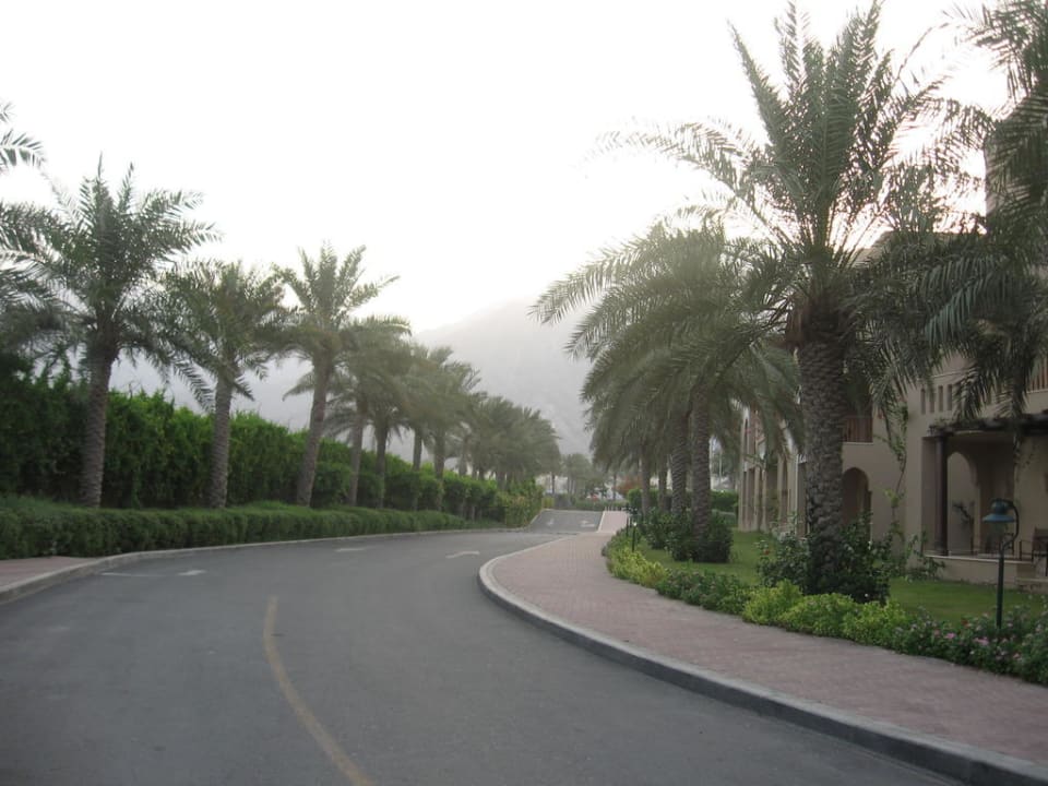 Außen Miramar Al Aqah Beach Resort